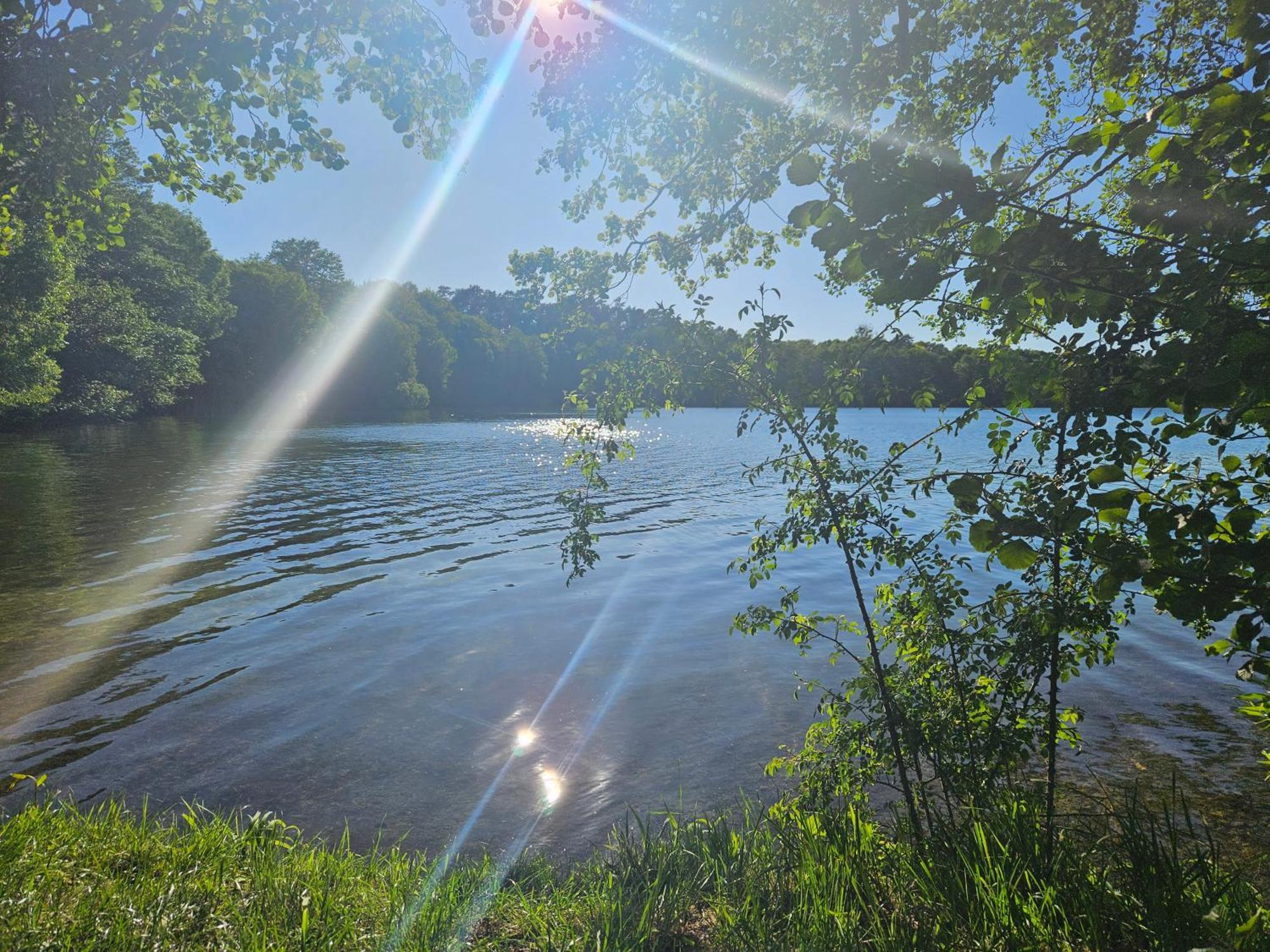 - Idyllischer Wohnmobilstellplatz In Der Mecklenburgischen Seenplatte#mecklenburg-vorpommern #see #landleben
